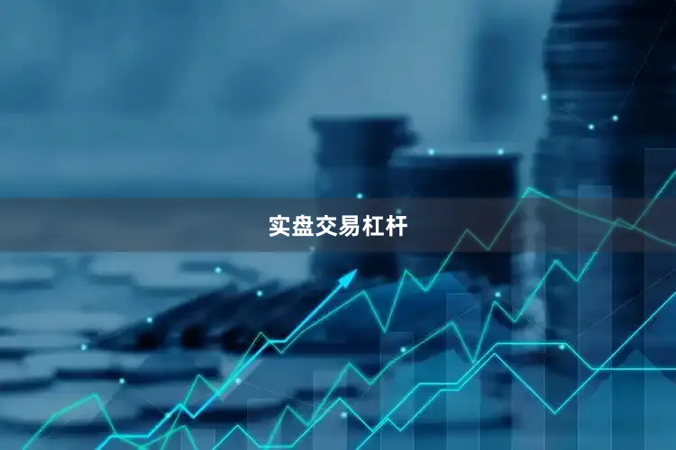 实盘交易杠杆