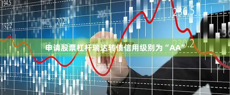 申请股票杠杆瑞达转债信用级别为“AA”
